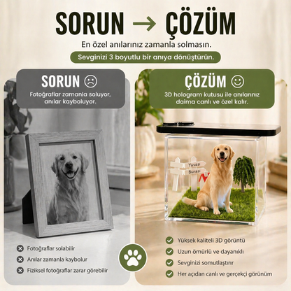 PetLume™ Fotoğraftan 3D Evcil Hayvan Hologramı