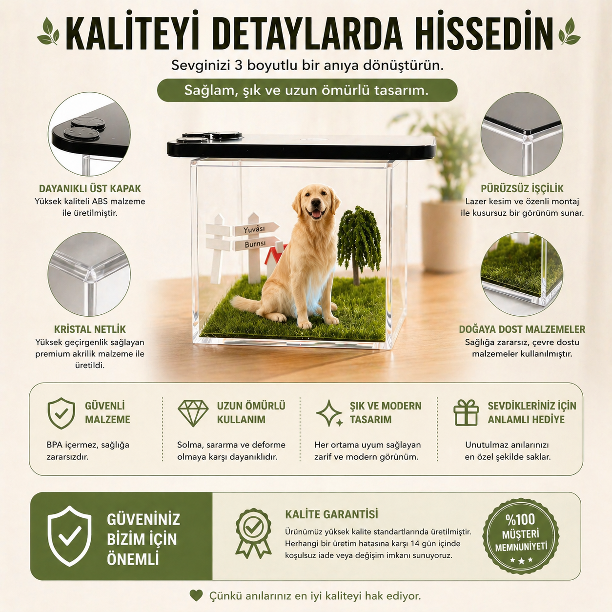 PetLume™ Fotoğraftan 3D Evcil Hayvan Hologramı