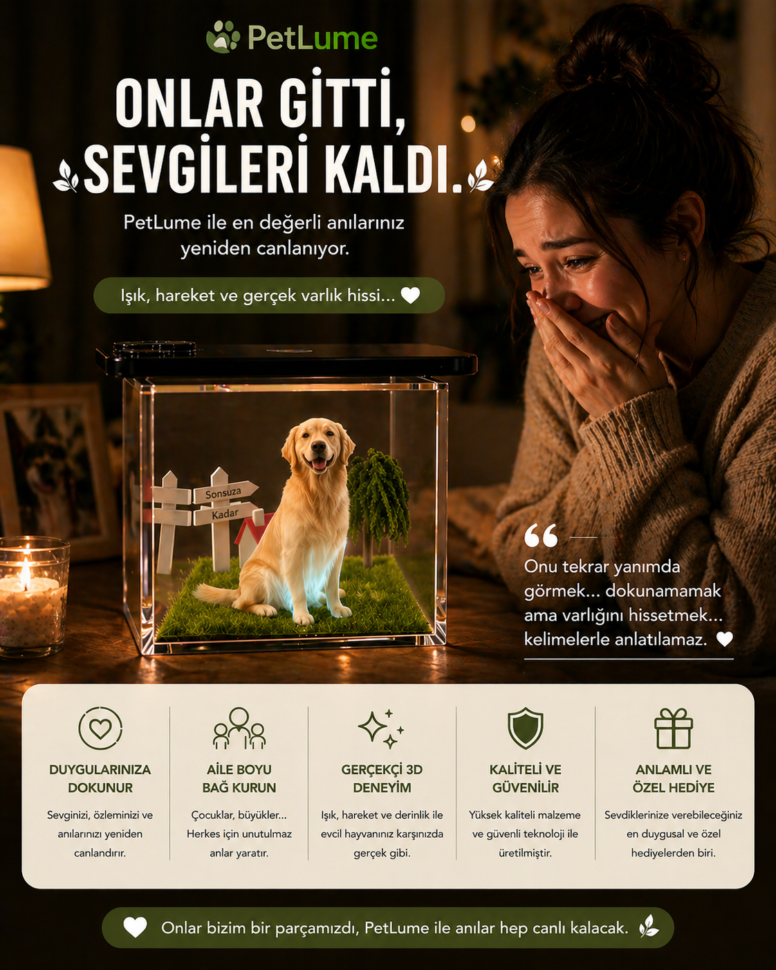 PetLume™ Fotoğraftan 3D Evcil Hayvan Hologramı
