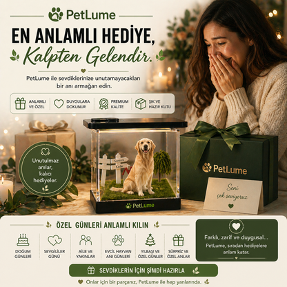 PetLume™ Fotoğraftan 3D Evcil Hayvan Hologramı